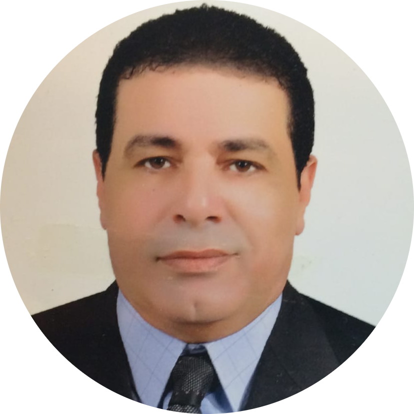 Portrait of Prof. Ahmed Abdel-Fattah, Advisory Board